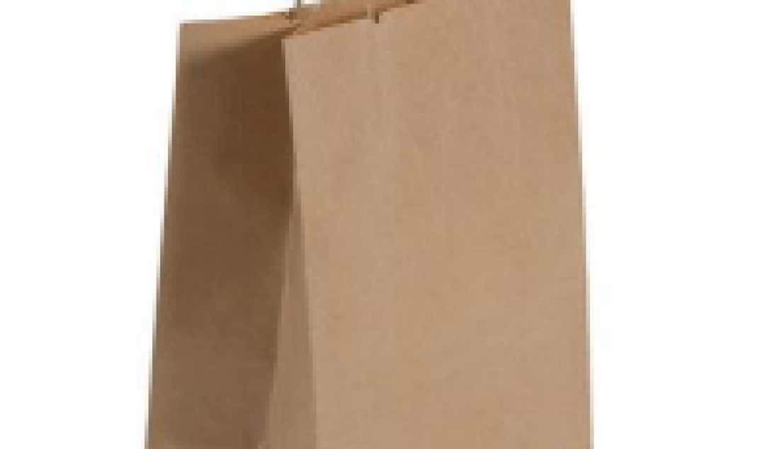 MEDIUM SIZED PAPER BAG